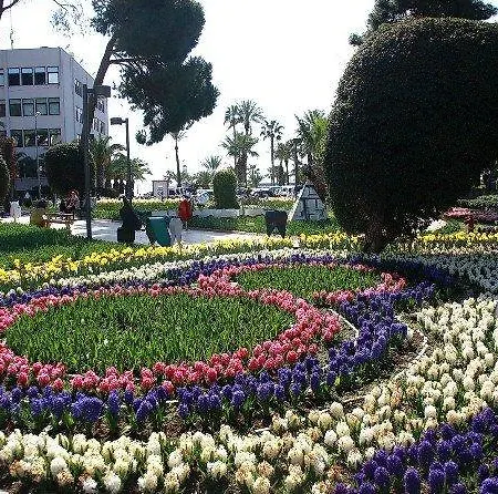 Hotell Celik Suit *